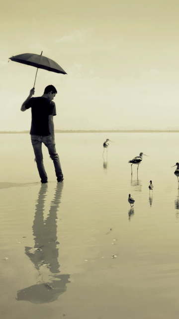 Fondo de pantalla Guy With Umbrella And Bird Lake 360x640