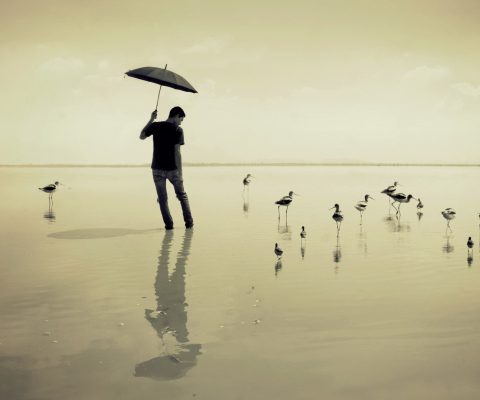 Screenshot №1 pro téma Guy With Umbrella And Bird Lake 480x400