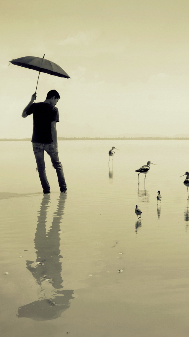 Sfondi Guy With Umbrella And Bird Lake 640x1136