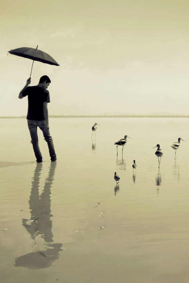 Screenshot №1 pro téma Guy With Umbrella And Bird Lake 640x960