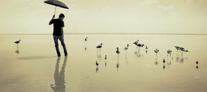 Screenshot №1 pro téma Guy With Umbrella And Bird Lake 720x320