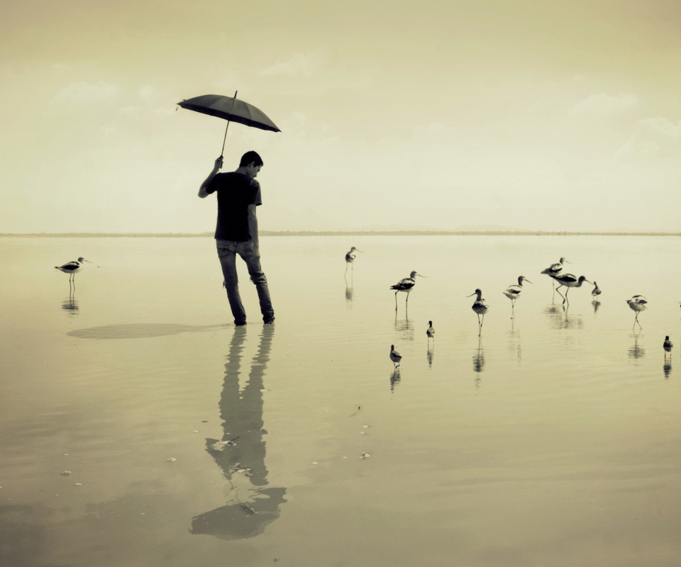 Sfondi Guy With Umbrella And Bird Lake 960x800