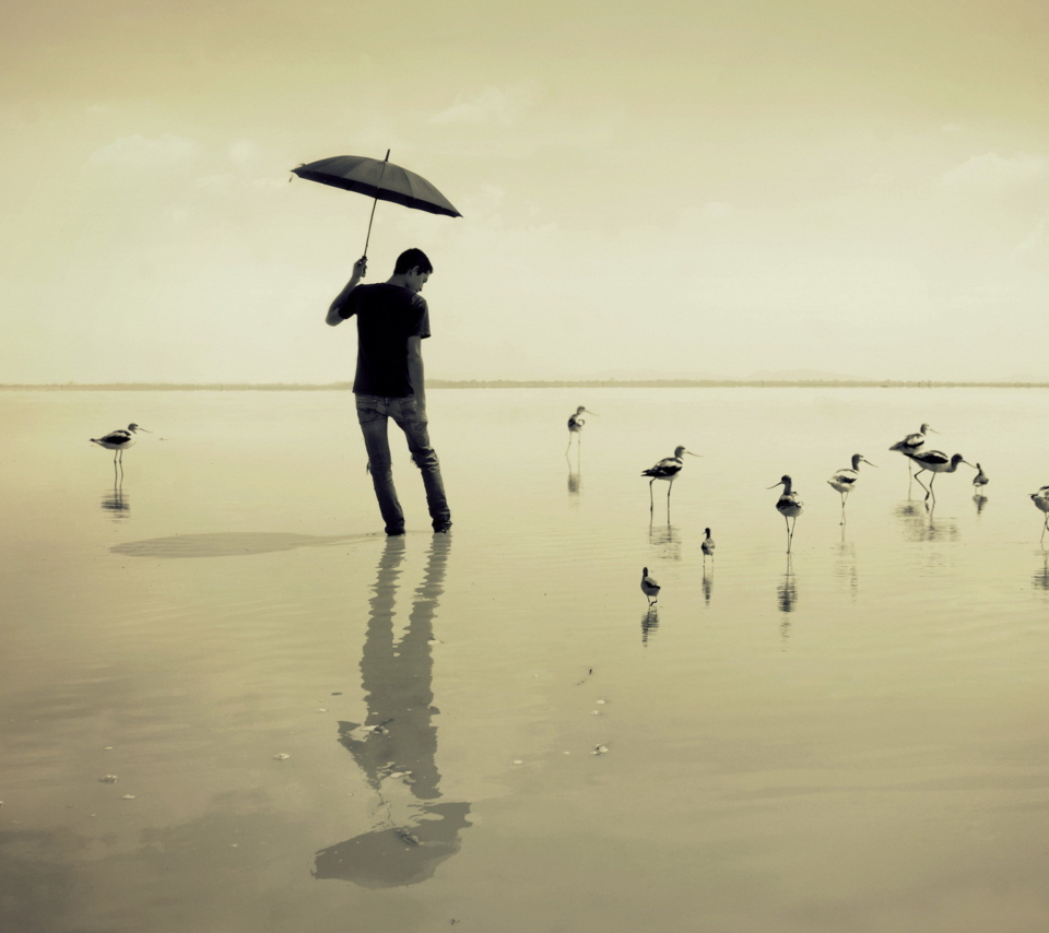 Sfondi Guy With Umbrella And Bird Lake 960x854