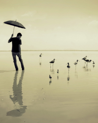 Guy With Umbrella And Bird Lake sfondi gratuiti per 640x1136