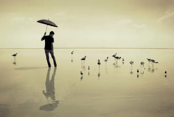 Screenshot №1 pro téma Guy With Umbrella And Bird Lake