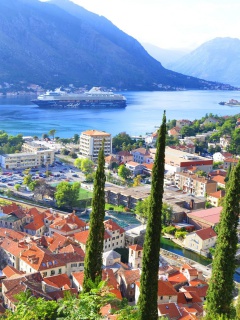 Kotor, Montenegro wallpaper 240x320