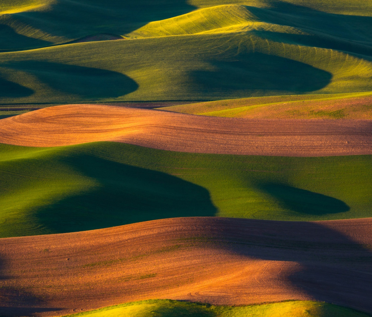 Brown and Green Hills screenshot #1 1200x1024