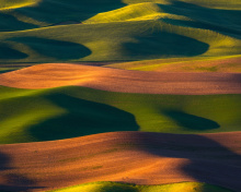Brown and Green Hills wallpaper 220x176