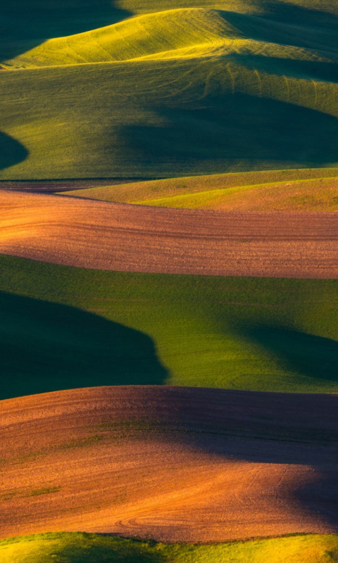 Sfondi Brown and Green Hills 480x800