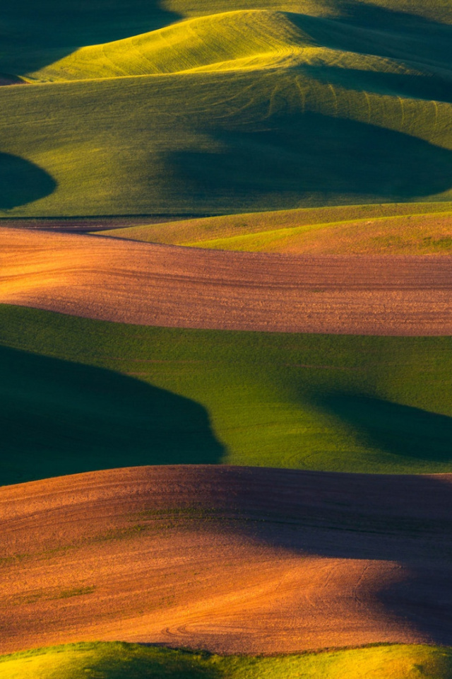 Brown and Green Hills wallpaper 640x960