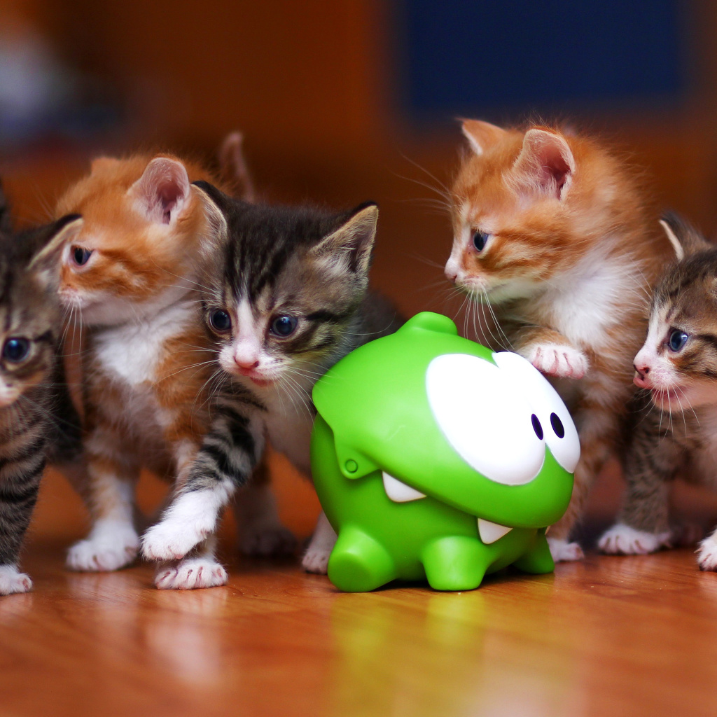 Sfondi Interactive Kittens Toy 1024x1024