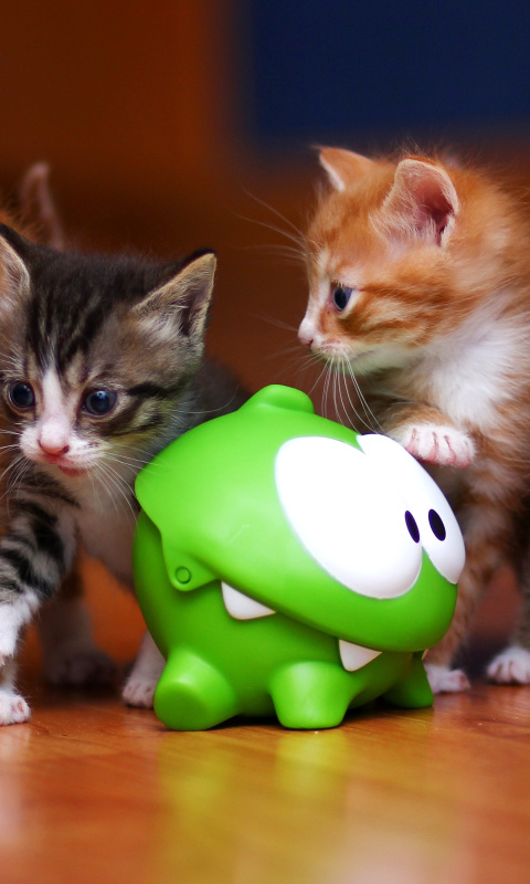 Das Interactive Kittens Toy Wallpaper 480x800