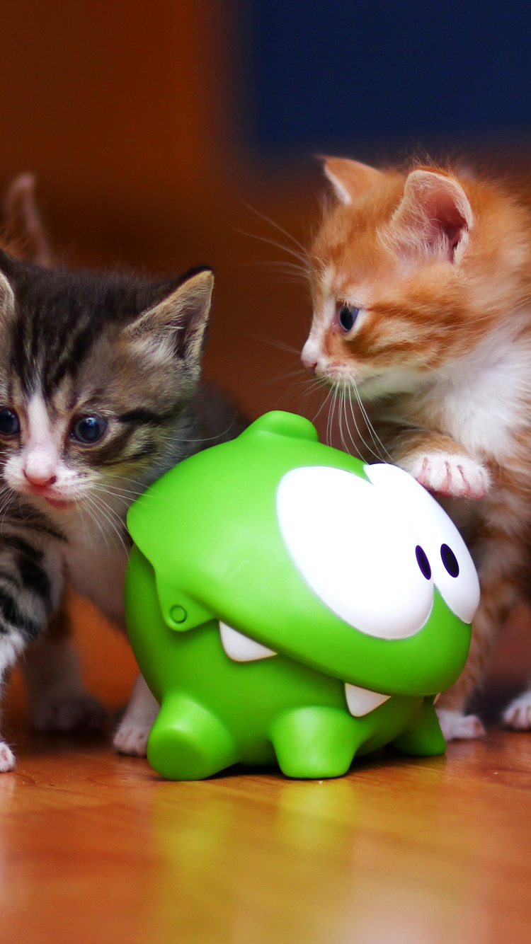 Обои Interactive Kittens Toy 750x1334