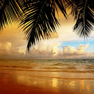Paradise Landscape - Obrázkek zdarma pro iPad 2
