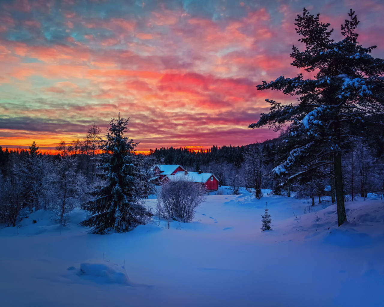 Amazing Winter Sunset Landscape screenshot #1 1280x1024