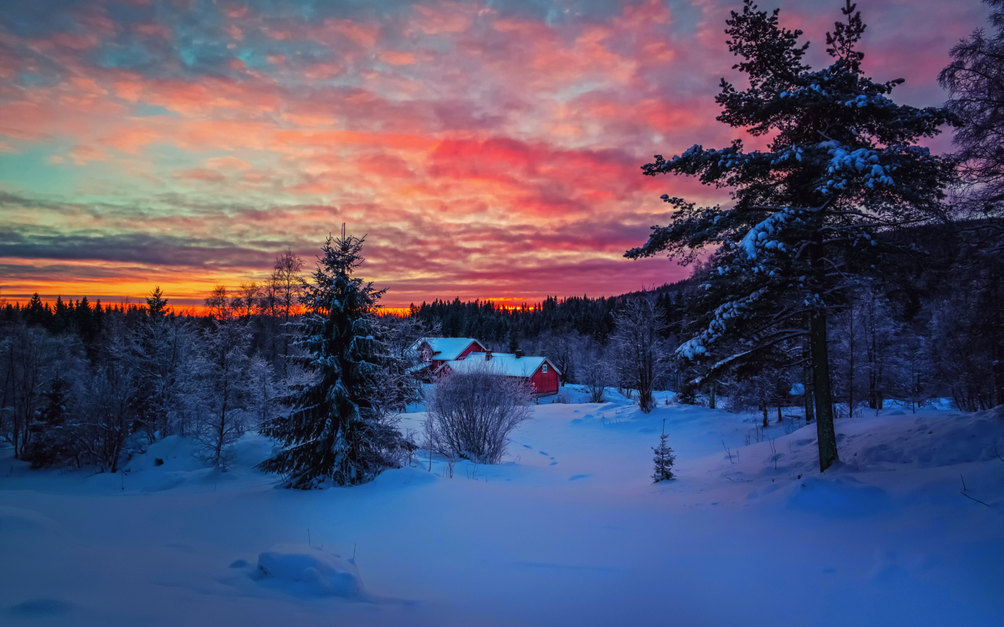 Screenshot №1 pro téma Amazing Winter Sunset Landscape 1440x900