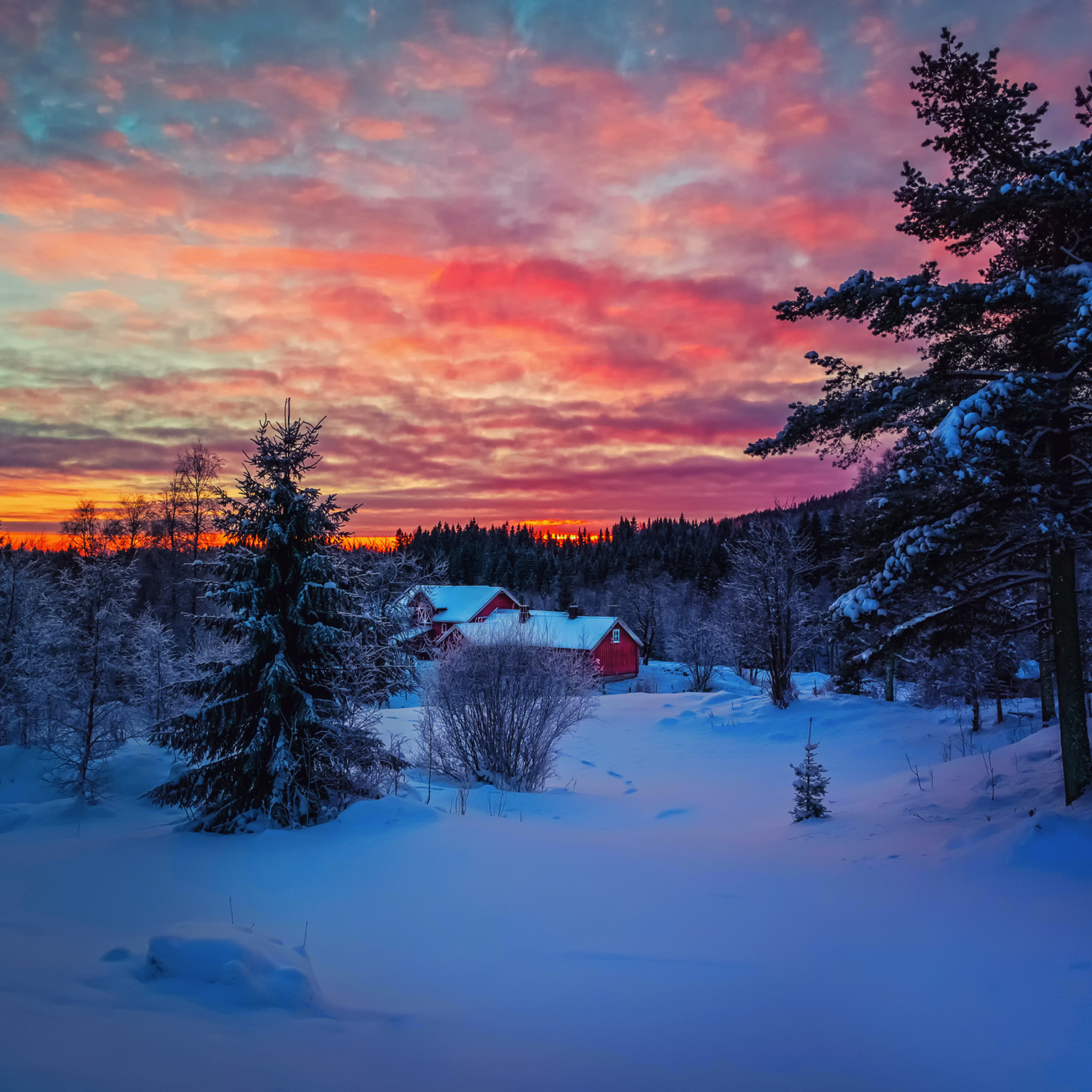 Screenshot №1 pro téma Amazing Winter Sunset Landscape 2048x2048