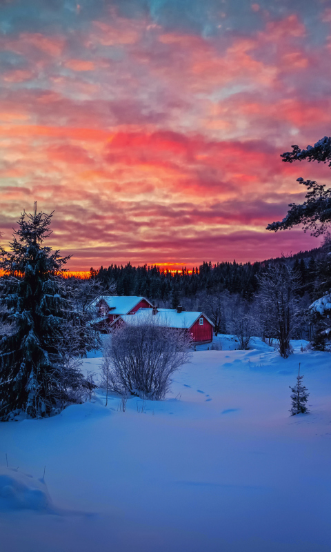 Fondo de pantalla Amazing Winter Sunset Landscape 480x800