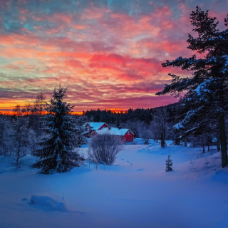 Kostenloses Amazing Winter Sunset Landscape Wallpaper für 208x208