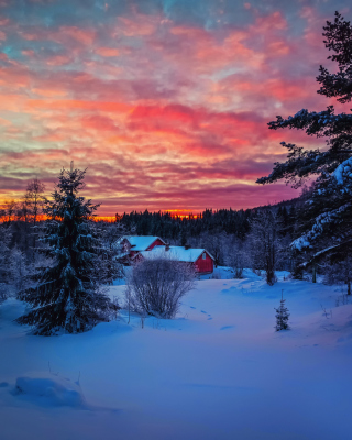 Amazing Winter Sunset Landscape - Obrázkek zdarma pro 320x480