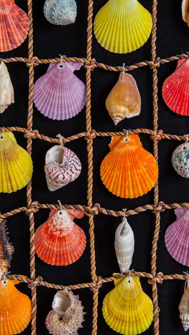 Das Seashells Wallpaper 640x1136