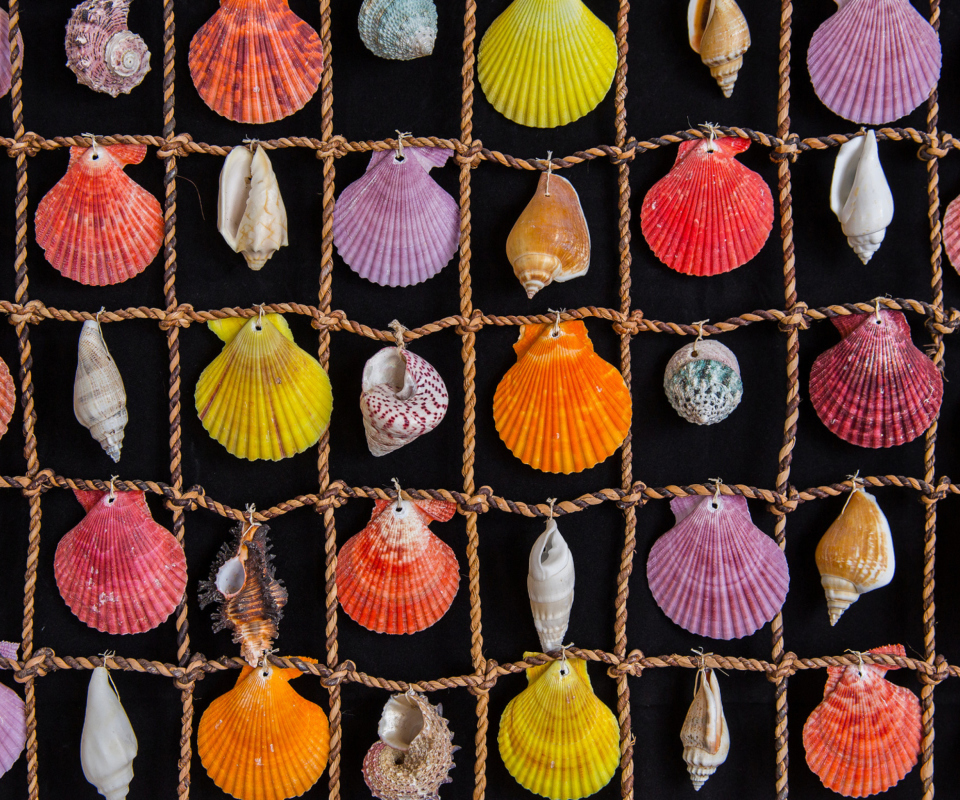 Das Seashells Wallpaper 960x800