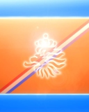 Sfondi Netherlands National Football Team 128x160