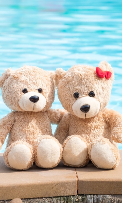 Sfondi Handmade Teddy Bears 480x800