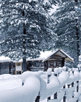 Holiday Snow Days - Obrázkek zdarma pro iPhone 4