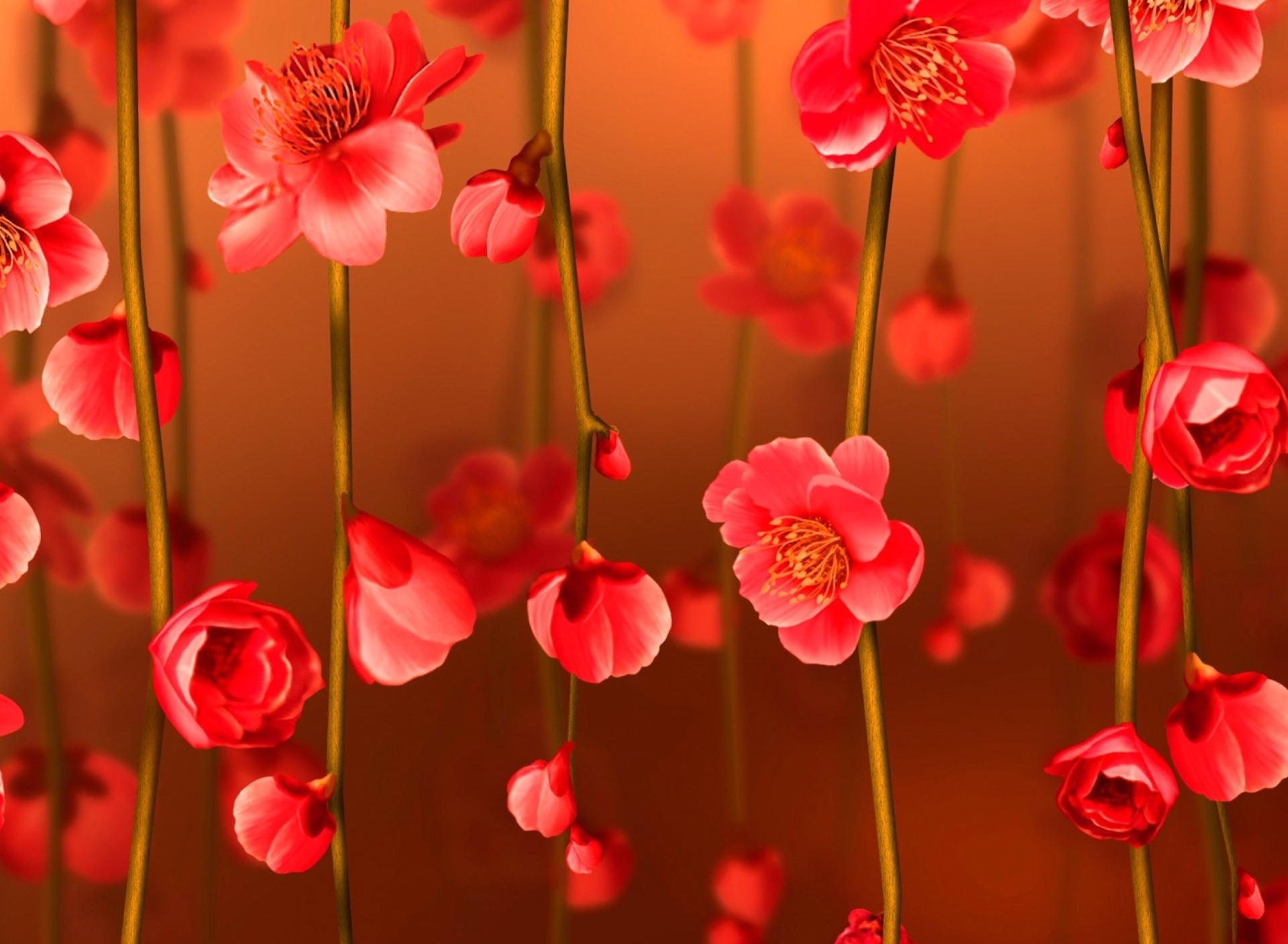Обои Bright Red Floral HD 1920x1408