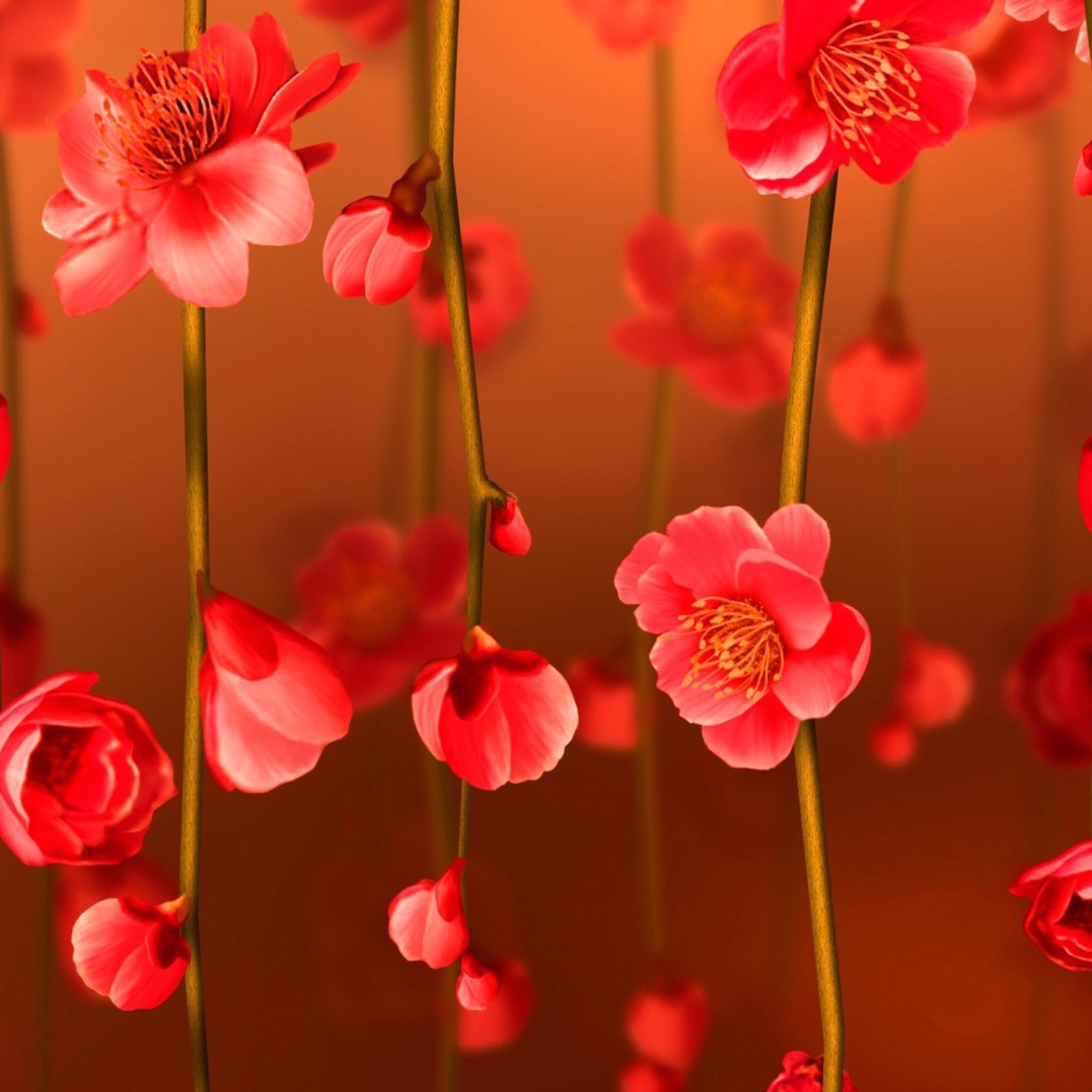 Обои Bright Red Floral HD 2048x2048