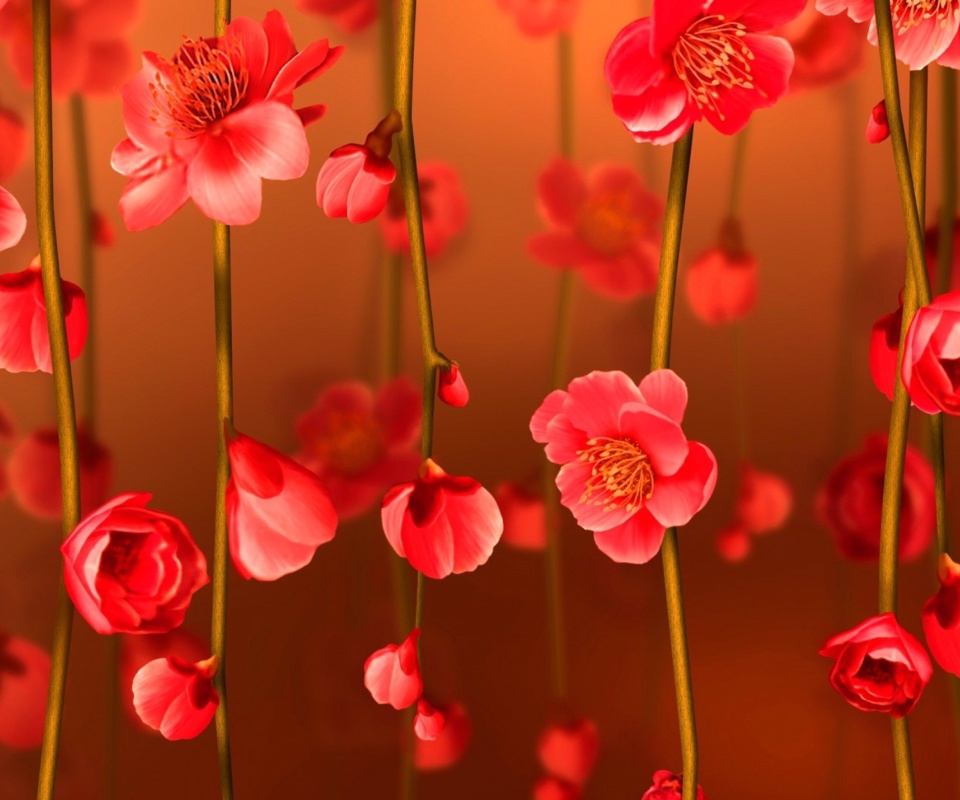 Bright Red Floral HD wallpaper 960x800