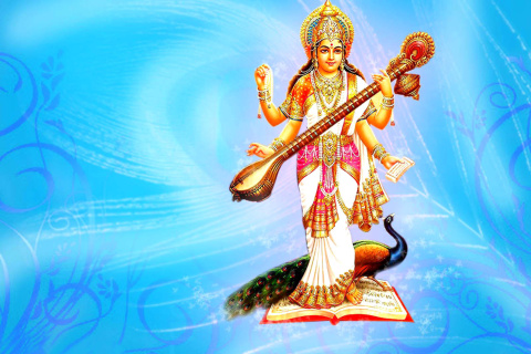 Das Saraswati Hindu Goddess Wallpaper 480x320
