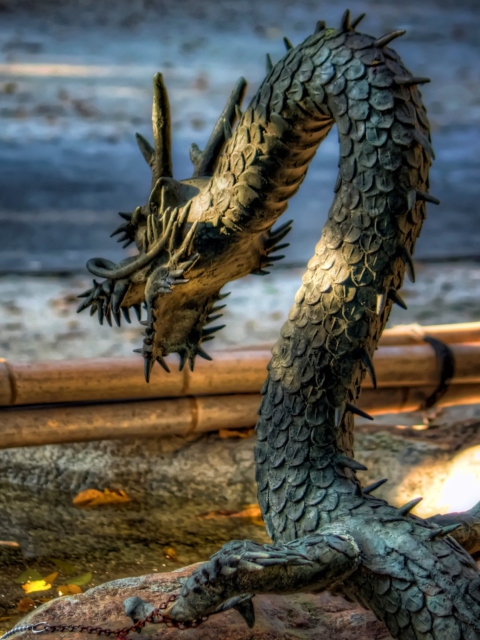 Sfondi Chained Dragon 480x640