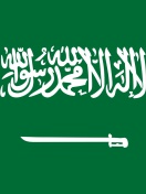 Screenshot №1 pro téma Flag Of Saudi Arabia 132x176