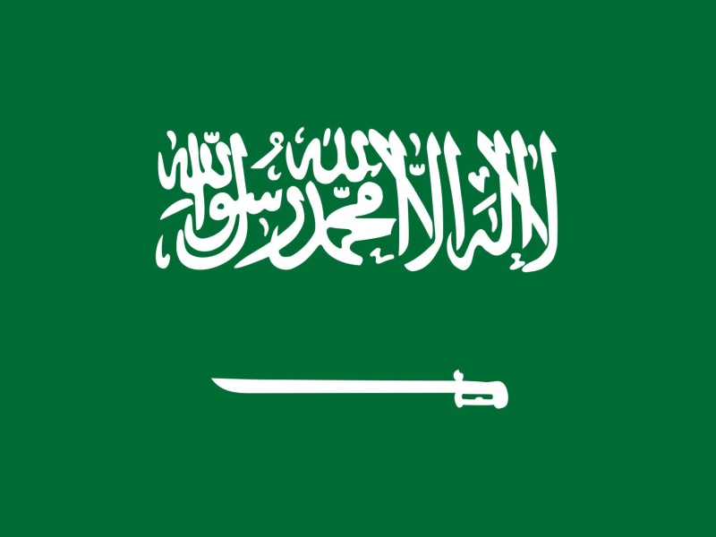 Screenshot №1 pro téma Flag Of Saudi Arabia 800x600