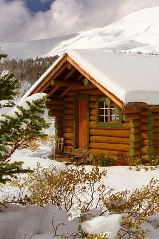 Cozy winter house screenshot #1 320x480