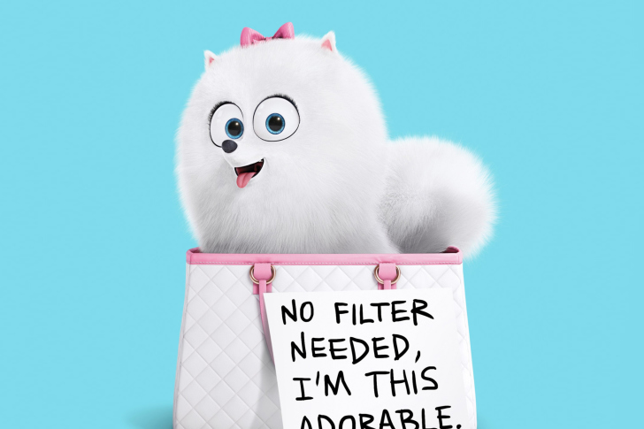 Sfondi Gidget Secret Life of Pets