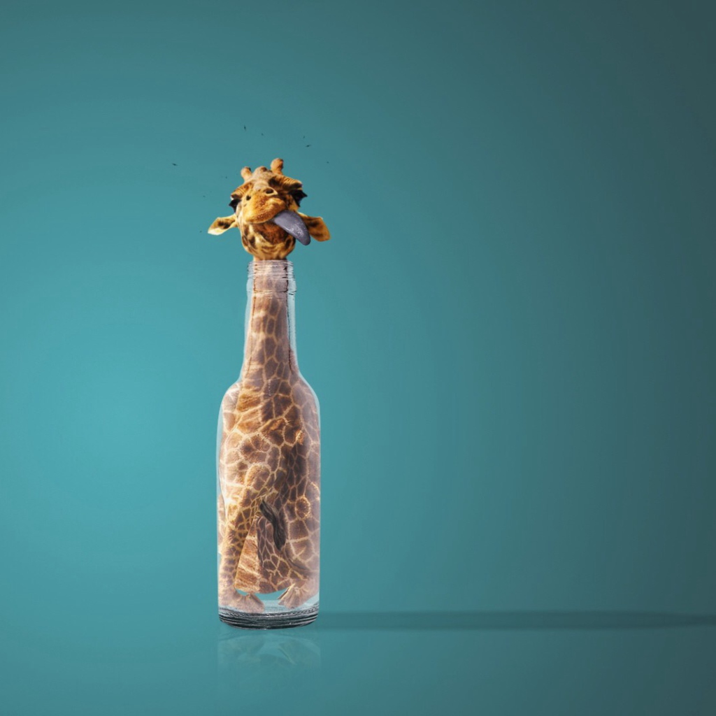 Giraffe In Bottle wallpaper 1024x1024