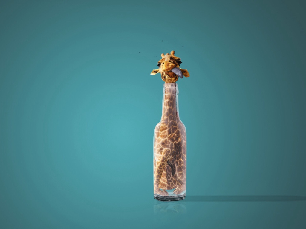 Das Giraffe In Bottle Wallpaper 1024x768