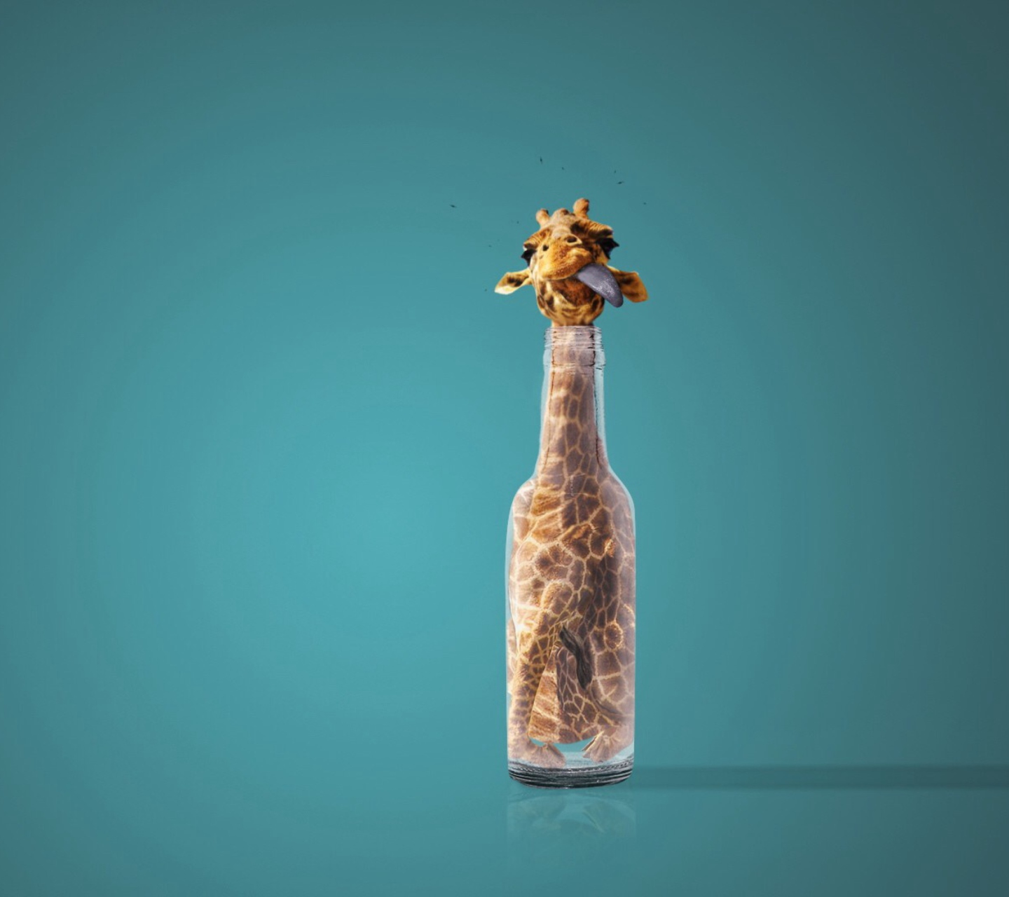 Обои Giraffe In Bottle 1440x1280