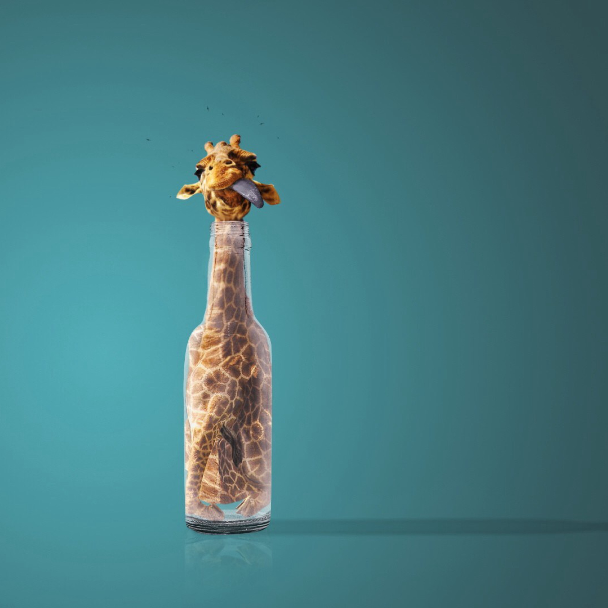 Screenshot №1 pro téma Giraffe In Bottle 2048x2048