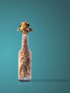 Fondo de pantalla Giraffe In Bottle 240x320