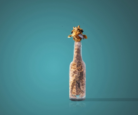 Fondo de pantalla Giraffe In Bottle 480x400