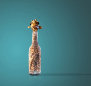 Kostenloses Giraffe In Bottle Wallpaper für iPad mini 2