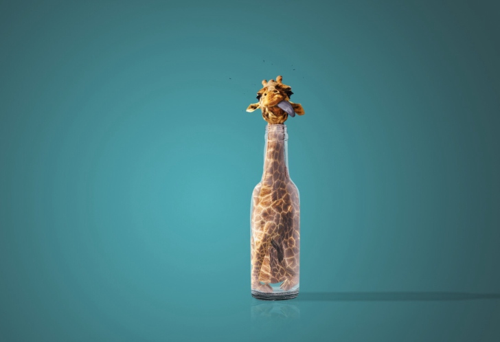 Обои Giraffe In Bottle