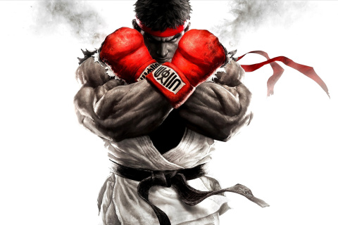 Screenshot №1 pro téma Street Fighter V 480x320