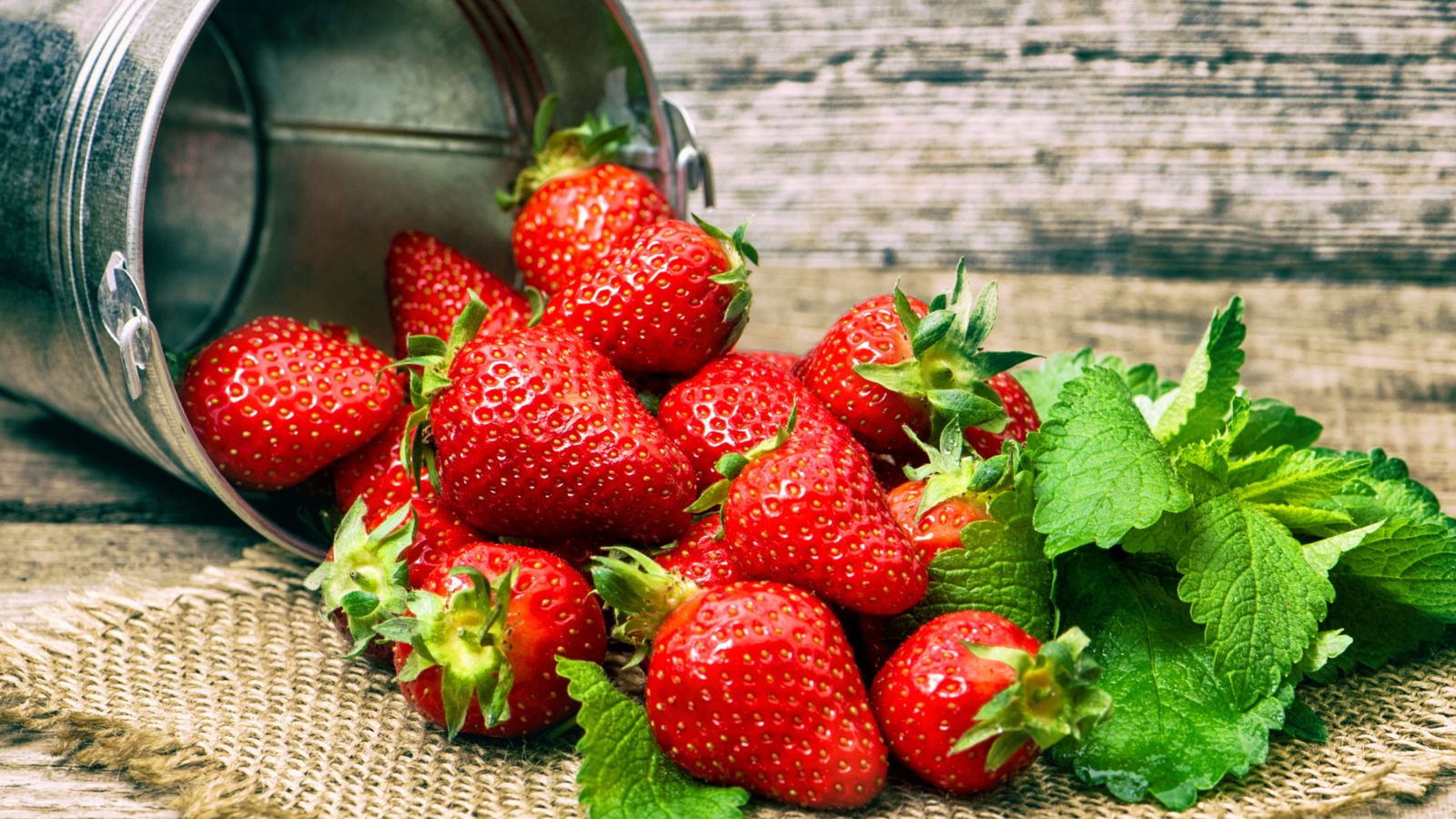 Strawberries screenshot #1 1600x900