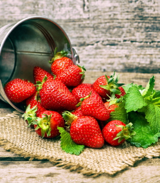 Strawberries - Obrázkek zdarma pro Nokia Asha 503