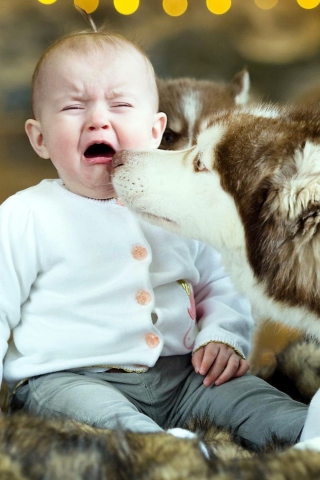 Das Baby and Dog Wallpaper 320x480